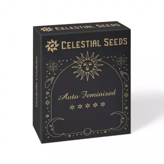 Семена марихуаны сорт Astral Auto Fem.