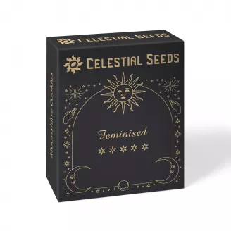 Семена марихуаны сорт Frosted Guava Fem.
